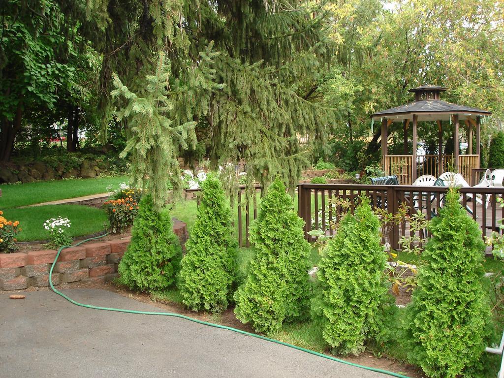 Susan's 4* Niagara Falls